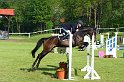 005M3932_Weicame_Springpferde A